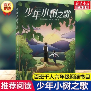 少年小树之歌 福里斯特卡特著百班千人六年级阅读书目必小学生六年级课外书阅读祖庆说老师推荐长篇小说儿童文学读物正版书籍