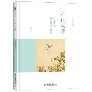 【新华书店正版】小词大雅 叶嘉莹 词的修养与境界唐宋词十七讲 迦陵讲演集中国好书人间词话七讲获奖力作 文学理论与批评诗词书籍