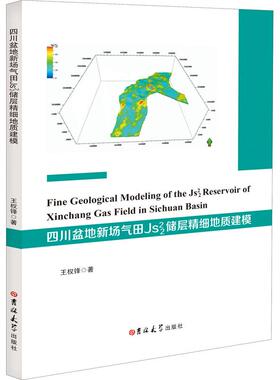 四川盆地新场气田JS22储层精细地质建模 王权锋 正版书籍 新华书店旗舰店文轩官网 吉林大学出版社