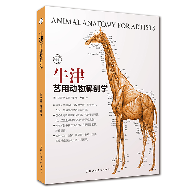 新华书店正版 美术理论 文轩网