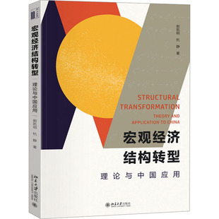 【新华文轩】宏观经济结构转型 理论与中国应用 郭凯明,杭静 正版书籍 新华书店旗舰店文轩官网 北京大学出版社
