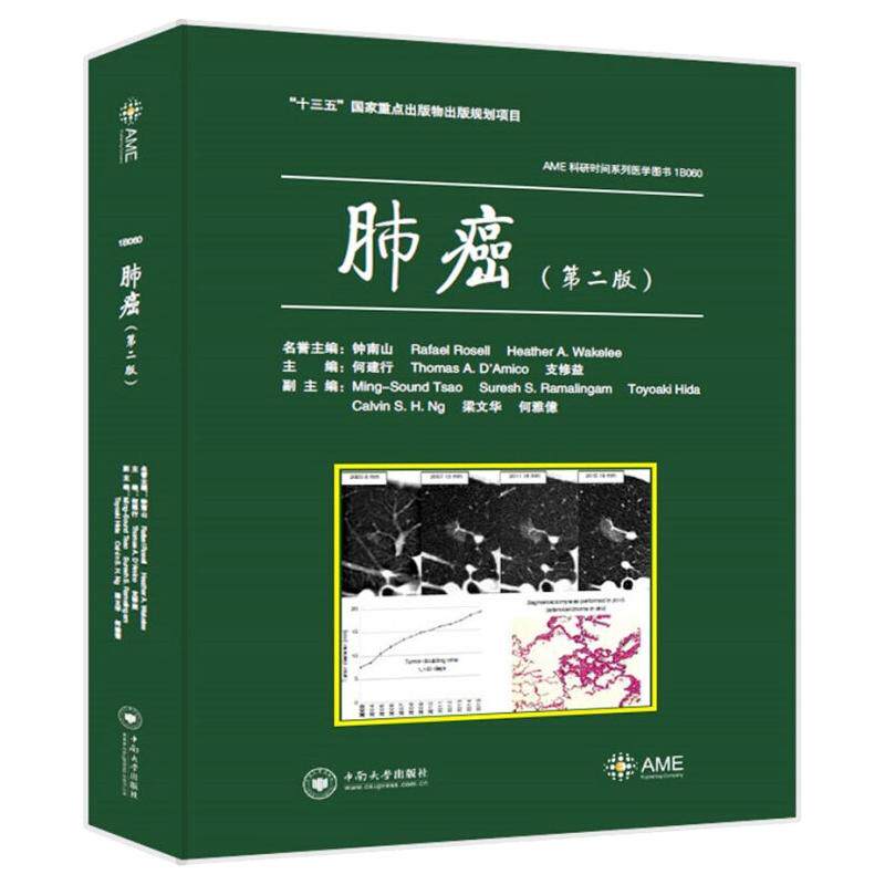 肺癌 何建行  正版书籍 新华书店旗舰店文轩官网 中南大学出版社