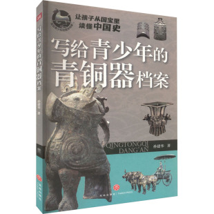 书籍 青铜器档案 天地出版 写给青少年 新华书店旗舰店文轩官网 孙建华 新华文轩 正版 社