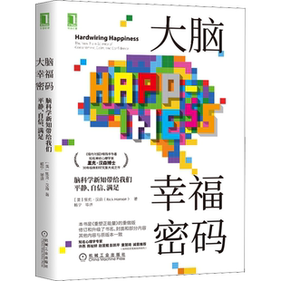 大脑幸福密码 里克汉森 脑科学带给我们平静自信满足 重塑正能量 积极心理学 内化积极体验 许燕彭凯平推荐 正能量书籍