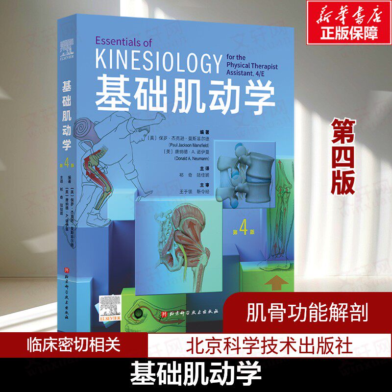 基础肌动学 第四4版 物理治疗师的肌肉骨骼功能解剖学基础保罗杰克逊曼斯菲尔德肌肉骨骼系统的结构和功能筋膜解剖列车书籍 正版