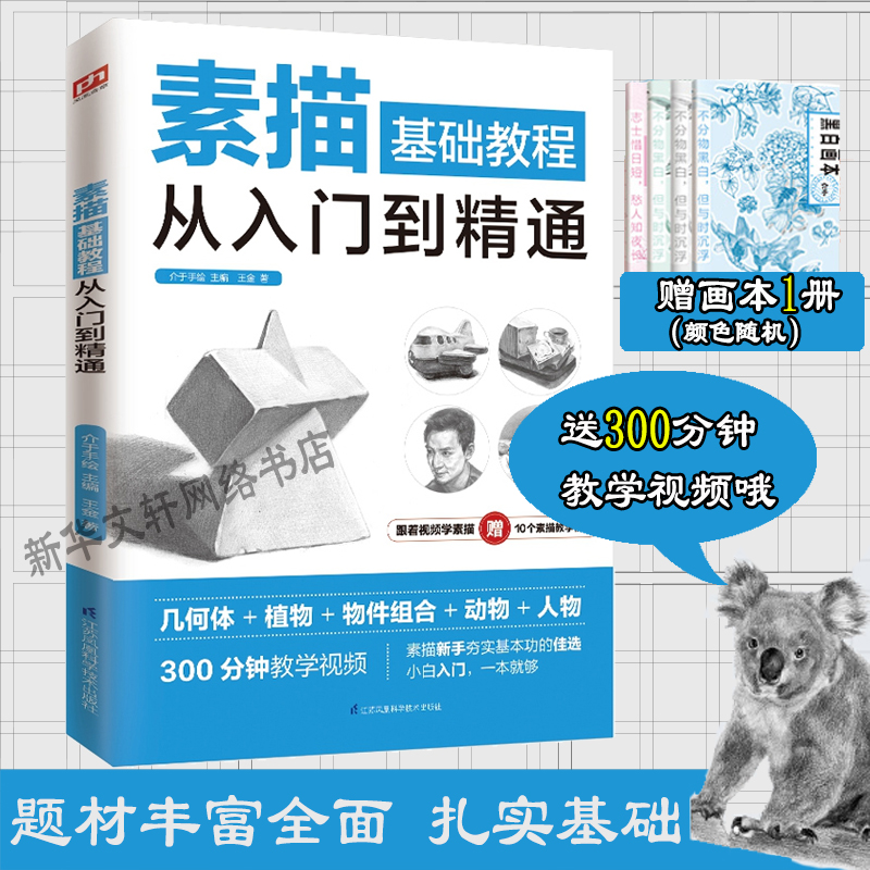 素描基础教程从入门到精通 王金 从零起步学素描入门自学零基础临摹教材书籍初学者手绘结构静物人物头像石膏几何体美术速写素描书