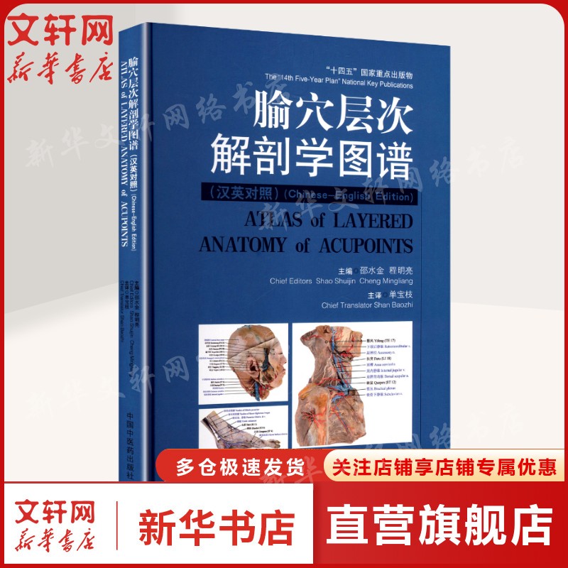 腧穴层次解剖学图谱汉英对照 解剖学与腧穴学中西医结合 142个常用腧穴 正版书籍 9787513295130 中国中医药出版社
