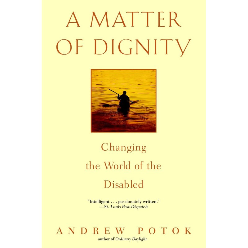 尊严问题：改变残疾人的世界A Matter of Dignity原版引进