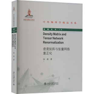 密度矩阵与张量网络重正化 向涛 正版书籍 新华书店旗舰店文轩官网 北京大学出版社