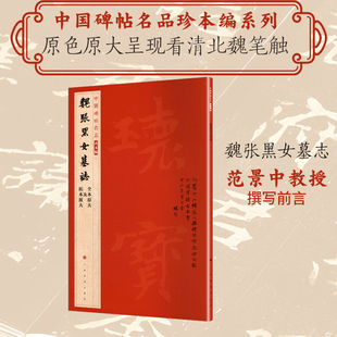 【新华文轩】魏张黑女墓志 正版书籍 新华书店旗舰店文轩官网 上海书画出版社