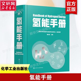 氢能手册 氢能技术 我国首部氢能手册 全面展现氢能技术现状和技术发展 高等院校新能源化工冶金材料等专业参考书
