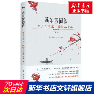 明月三千里 苏东坡词传 新华文轩 台海出版 正版 书籍小说畅销书 孤灯二十年 新华书店旗舰店文轩官网 丁耽 社