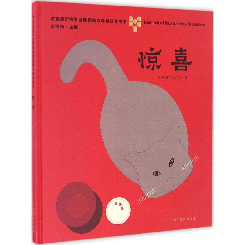 【新华文轩】惊喜 (法)雅尼克·可艾(Janik Coat) 著 正版书籍 新华书店旗舰店文轩官网 山东教育出版社