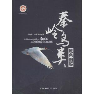 秦岭鸟类原色图鉴 于晓平,李金钢 编著 正版书籍 新华书店旗舰店文轩官网 西北农林科技大学出版社