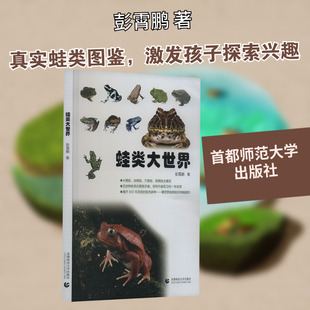 【新华文轩】蛙类大世界 彭霄鹏 正版书籍 新华书店旗舰店文轩官网 首都师范大学出版社