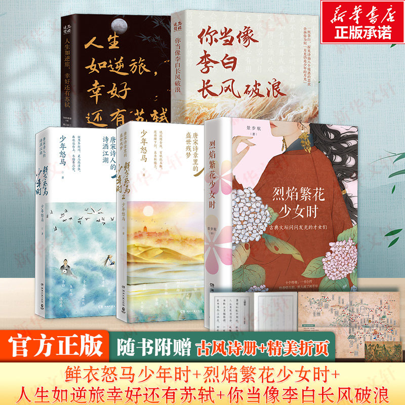 全5册鲜衣怒马少年时