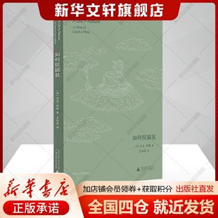 如何捉鼹鼠 (英)马克·哈默 正版书籍小说畅销书 新华书店旗舰店文轩官网 广西师范大学出版社