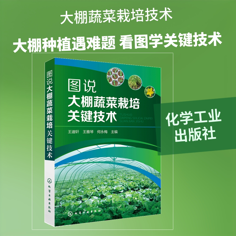 图说大棚蔬菜栽培关键技术 王迪轩,王雅琴,何永梅 主编 正版书籍 新华书店旗舰店文轩官网 化学工业出版社