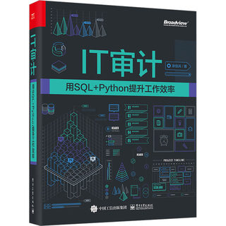 【新华文轩】IT审计 用SQL+Python提升工作效率 涂佳兵 正版书籍 新华书店旗舰店文轩官网 电子工业出版社