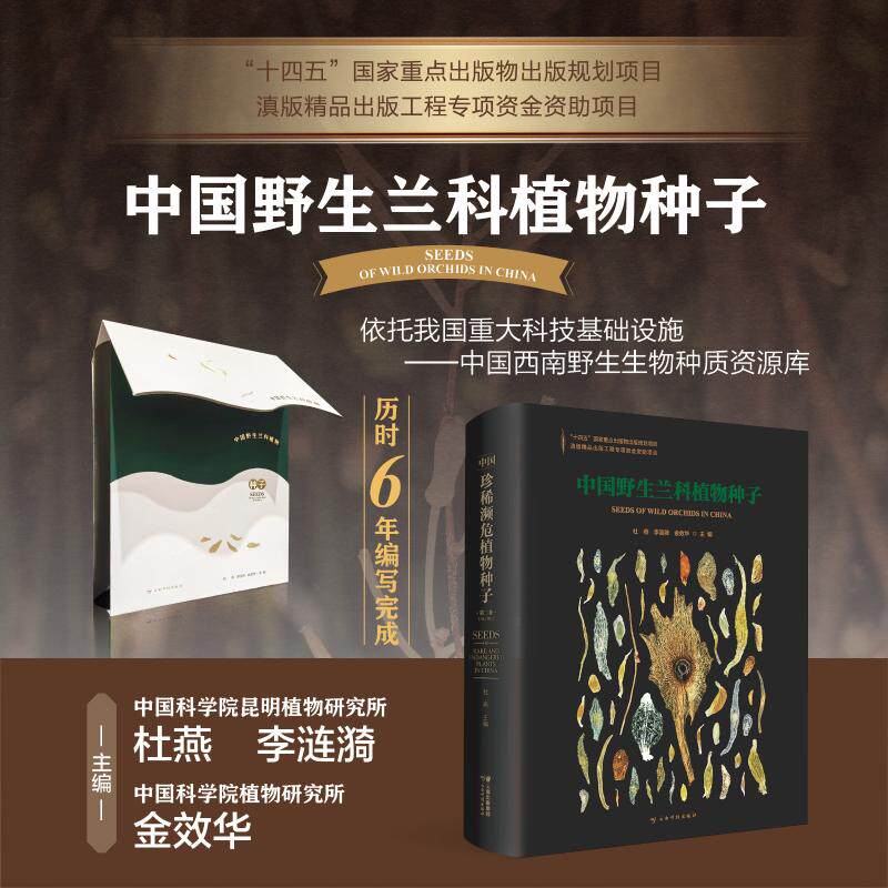 中国野生兰科植物种子 正版书籍 新华书店旗舰店文轩官网 云南科技出版社