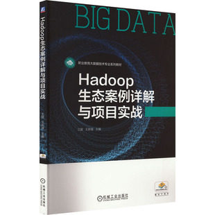 新华文轩 正版 机械工业出版 Hadoop生态案例详解与项目实战 新华书店旗舰店文轩官网 社 书籍