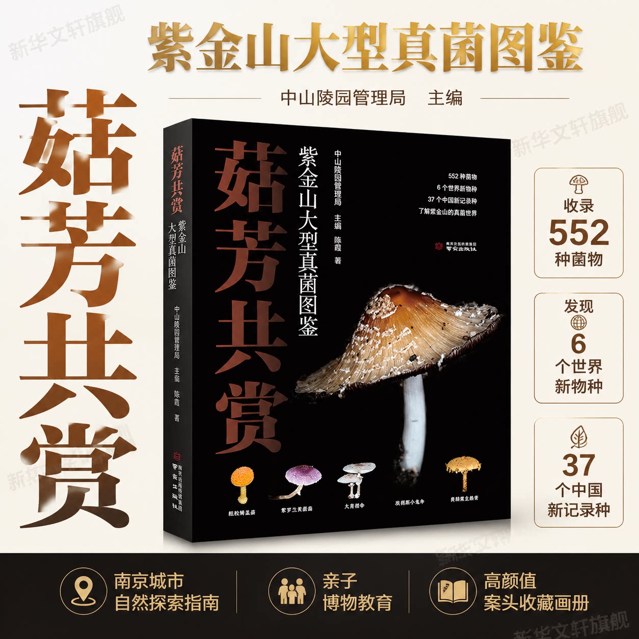 菇芳共赏 紫金山大型真菌图鉴 522种菌物1500+高清摄影照片记录成长历程蘑菇真菌图鉴摄影集图说生长 真菌基本常识科普及读物书籍