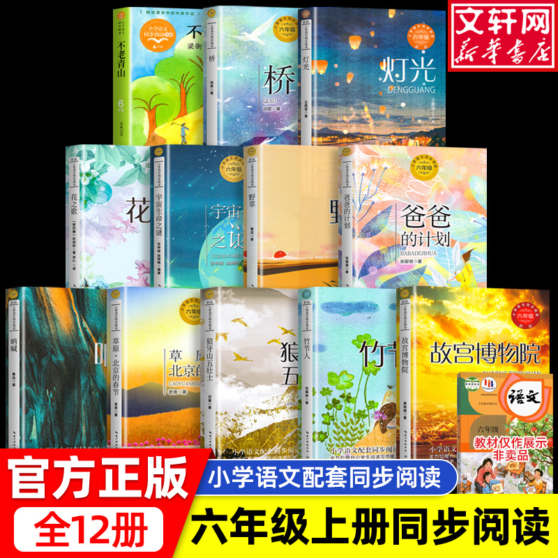 小学语文同步阅读书系六年级上册