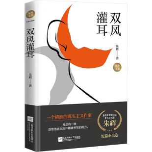 朱辉 正版 书籍小说畅销书 江苏凤凰文艺出版 双风灌耳 新华书店旗舰店文轩官网 社 新华文轩
