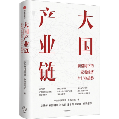 大国产业链 中金研究院 新形势下大国规模优势对于中国产业链发展的意义 半导体汽车等产业的形势与应对建议 中信出版社