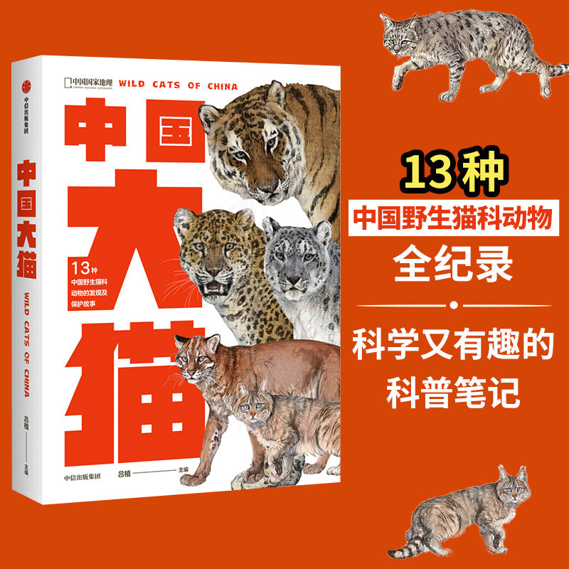 中国大猫 吕植 13种野生猫科动物物种全书猞猁兔狲雪云豹猫科学信息生态系统野外真实生活科普笔记正版书籍 猫萌cfca荒野新疆推荐