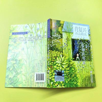 【新华文轩】《窗前的母亲》 肖复兴 著 正版书籍 新华书店旗舰店文轩官网 浙江少年儿童出版社