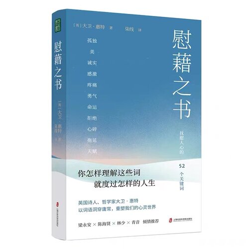 慰藉之书 (英)大卫·惠特 上海社会科学院出版社 正版书籍 新华书店旗舰店文轩官网
