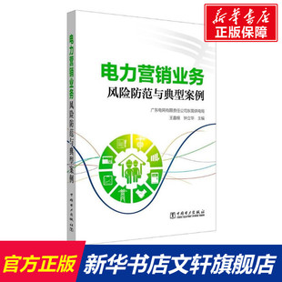 电力营销业务风险防范与典型案例 广东电网有限责任公司东莞供电局,王鑫根,钟立华 主编 正版书籍 新华书店旗舰店文轩官网