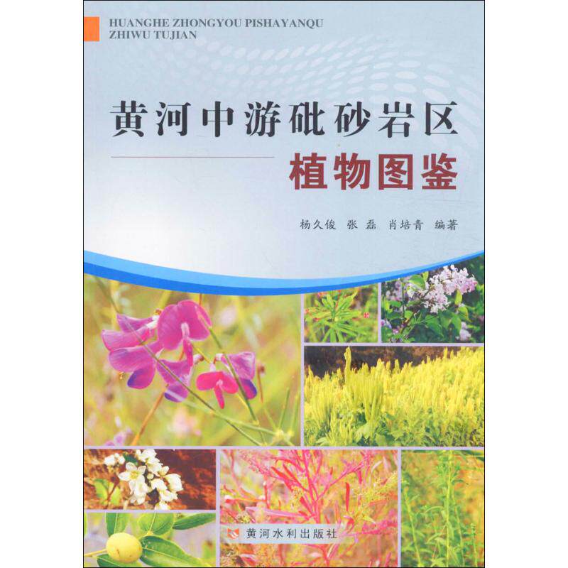 黄河中游砒砂岩区植物图鉴 杨久俊,张磊,肖培青 编著 正版书籍 新华书店旗舰店文轩官网 黄河水利出版社