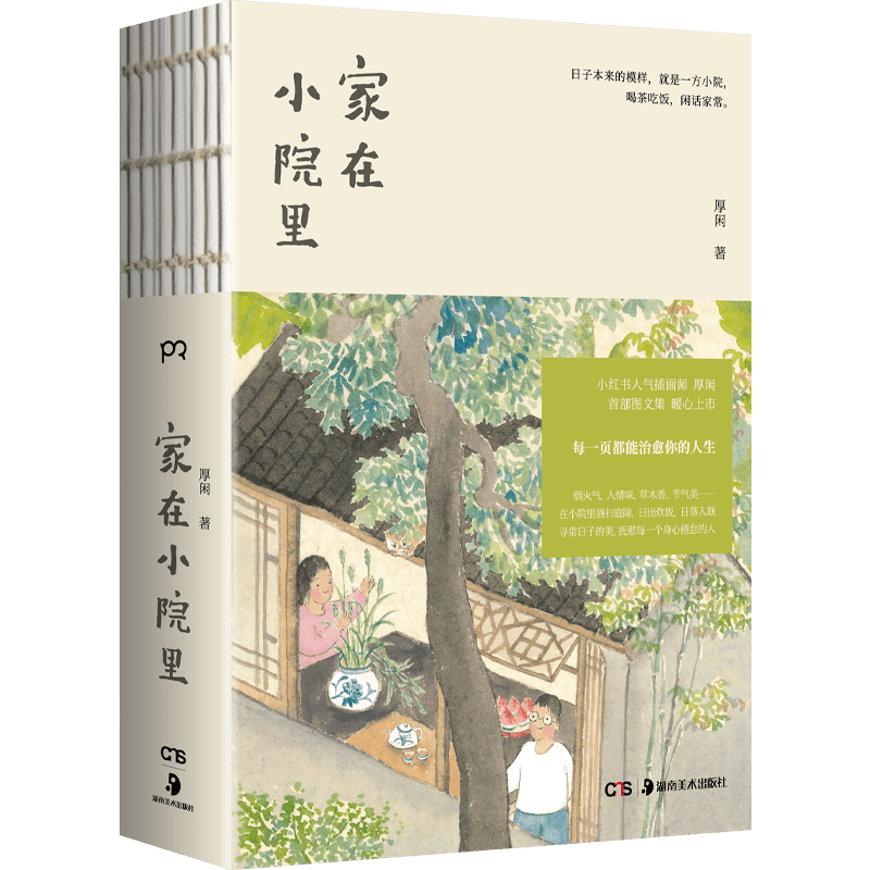 家在小院里 小红书人气绘画博主厚闲治愈系图文集 抚慰人心的烟火气 老街小巷的人情味回不去的旧时光 漫画绘画随笔轻松解压绘本书