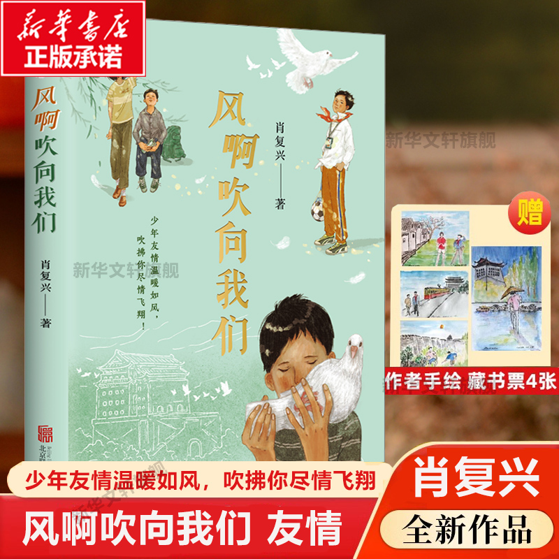 风啊吹向我们肖复兴少年成长