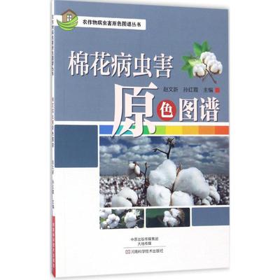 棉花病虫害原色图谱 赵文新,孙红霞 主编 正版书籍 新华书店旗舰店文轩官网 河南科学技术出版社