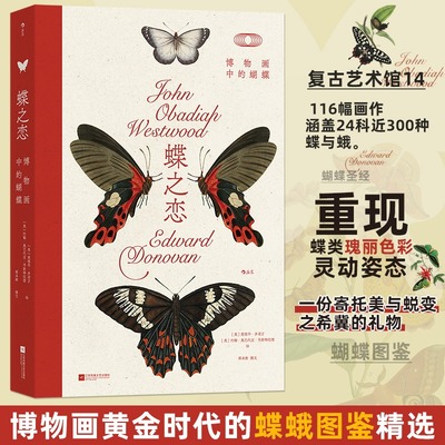 蝶之恋：博物画中的蝴蝶（复古艺术馆14） 爱德华·多诺万约翰·奥巴代亚·韦斯特伍德 艺术爱好者和科普爱好者读物 新华正版书籍