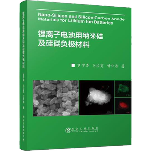 锂离子电池用纳米硅及硅碳负极材料 罗学涛,刘应宽,甘传海 正版书籍 新华书店旗舰店文轩官网 冶金工业出版社