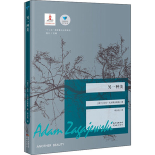 波 亚当·扎加耶夫斯基 花城出版 新华文轩 社 新华书店旗舰店文轩官网 另一种美 书籍小说畅销书 正版
