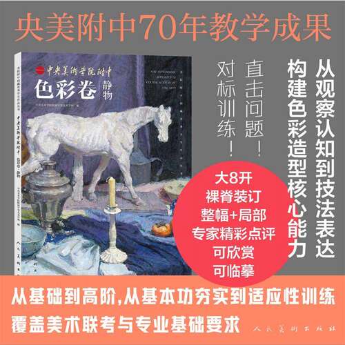 中央美术学院附中 色彩卷 静物 中央美院附中70年教学成果画集图册 人民美术官方正版书籍 观察构建技法色彩造型临摹学习作品集