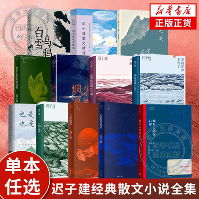 迟子建作品10册新华书店正版