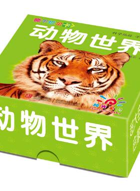 【新华正版】撕不烂全卡 拼音拼读训练幼小衔接一日一练 搭配四五快读小熊很忙儿童1364d立体书洞洞早教书籍绘本启蒙认知卡