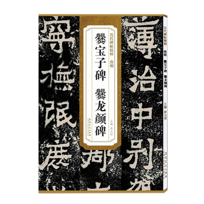 南朝爨宝子碑、爨龙颜碑 魏碑 （魏楷） 薛元明 历代碑帖精粹 简体旁注 原碑原拓 毛笔字帖碑帖 新华书店正版书籍  安徽美术出版社