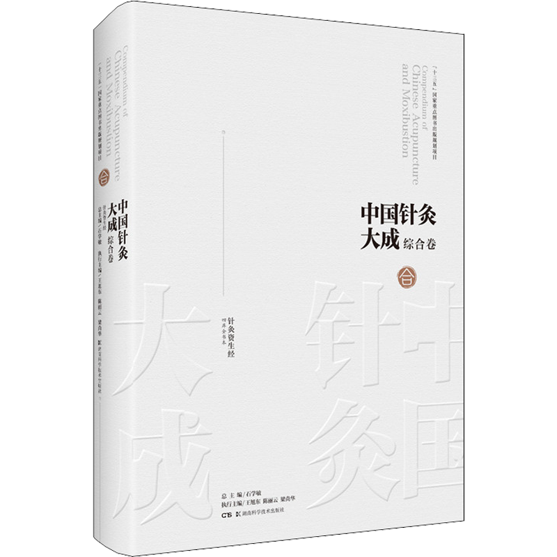 中国针灸大成 综合卷 针灸资生经 正版书籍 新华书店旗舰店文轩官网 湖南科学技术出版社