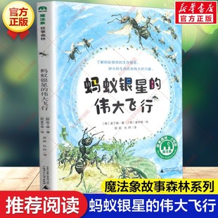 社正版 新华文轩 金丁焕著魔法象故事森林系列儿童文学读物小学生三四五六年级课外阅读广西师范大学出版 伟大飞行 书籍 蚂蚁银星