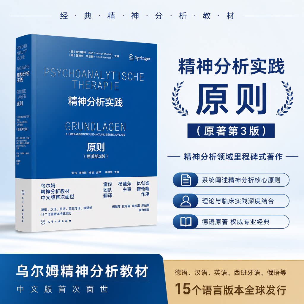精神分析实践原则 原著第3版  乌尔姆精神分析教材中文版 国际精神分析协会IPAzhiding教材 IPA中国学组学术资助 心理学书籍 正版