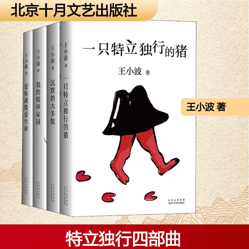 正版王小波杂文集套装4册图片