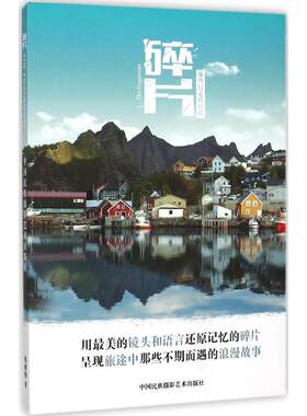 【新华文轩】碎片 韩雅梅 著 正版书籍小说畅销书 新华书店旗舰店文轩官网 中国民族摄影出版社