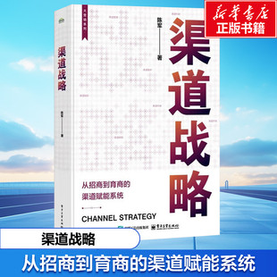渠道战略 陈军 电子工业出版社 正版书籍 新华书店旗舰店文轩官网